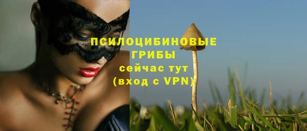 дурь Абдулино