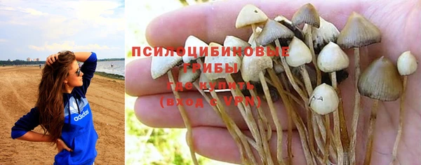 эйфоретик Алексин